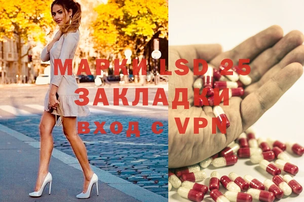 СК Тайга