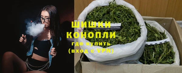 СК Тайга