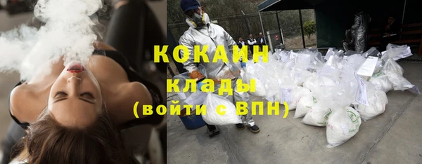 гидра Сясьстрой