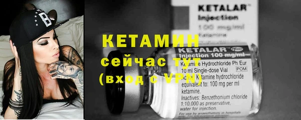 СК Тайга
