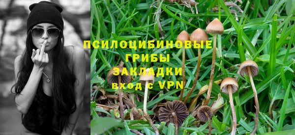 СК Тайга