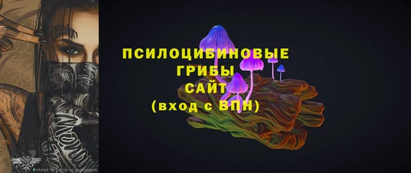 гидра Сясьстрой