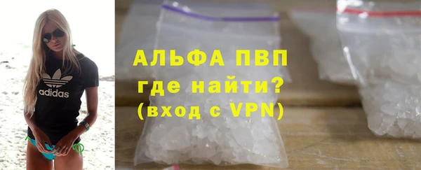 СК Тайга