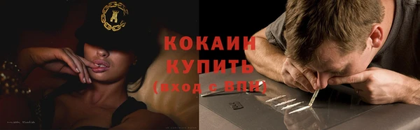 гидра Сясьстрой
