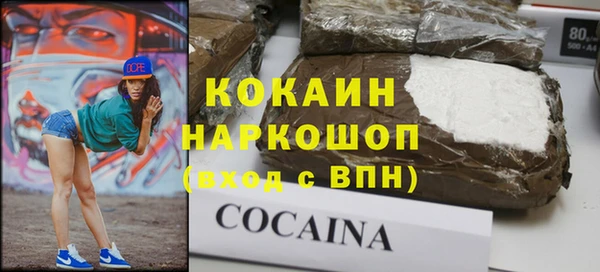 гидра Сясьстрой