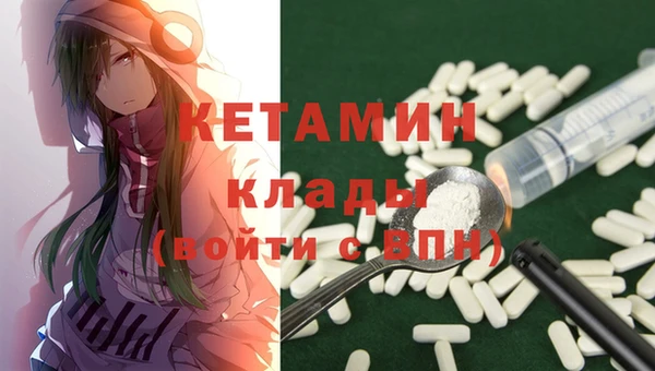 СК Тайга