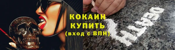 СК Тайга
